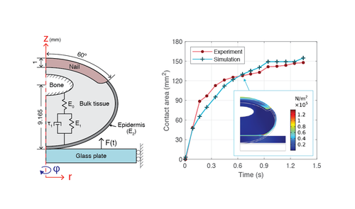 Optimizing a Viscoelastic Finite Element Model to Represent the Dry, Natural, and Moist Human Finger Pressing on Glass