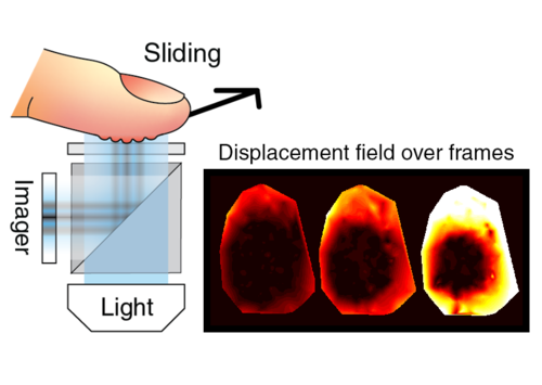 Finger Contact during Pressing and Sliding on a Glass Plate