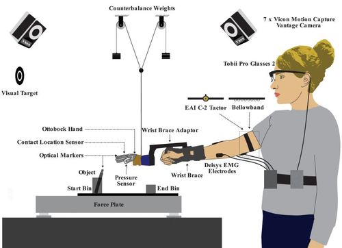 The Utility of Synthetic Reflexes and Haptic Feedback for Upper-Limb Prostheses in a Dexterous Task Without Direct Vision