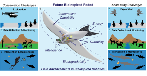 Bioinspired Robots Can Foster Nature Conservation